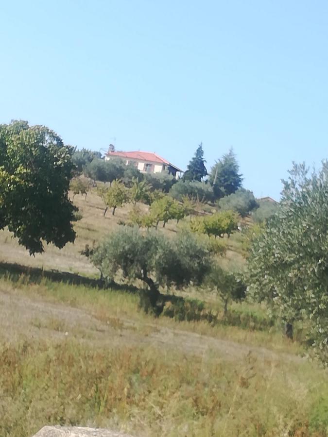 Casa Das Argolas Маседу ди Кавалейруш Екстериор снимка